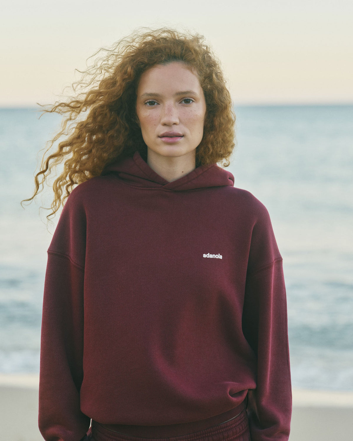 Vintage Relaxed Hoodie - Damson