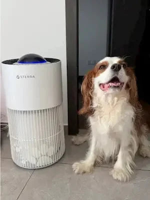 Home appliance lifestyle photo 7
