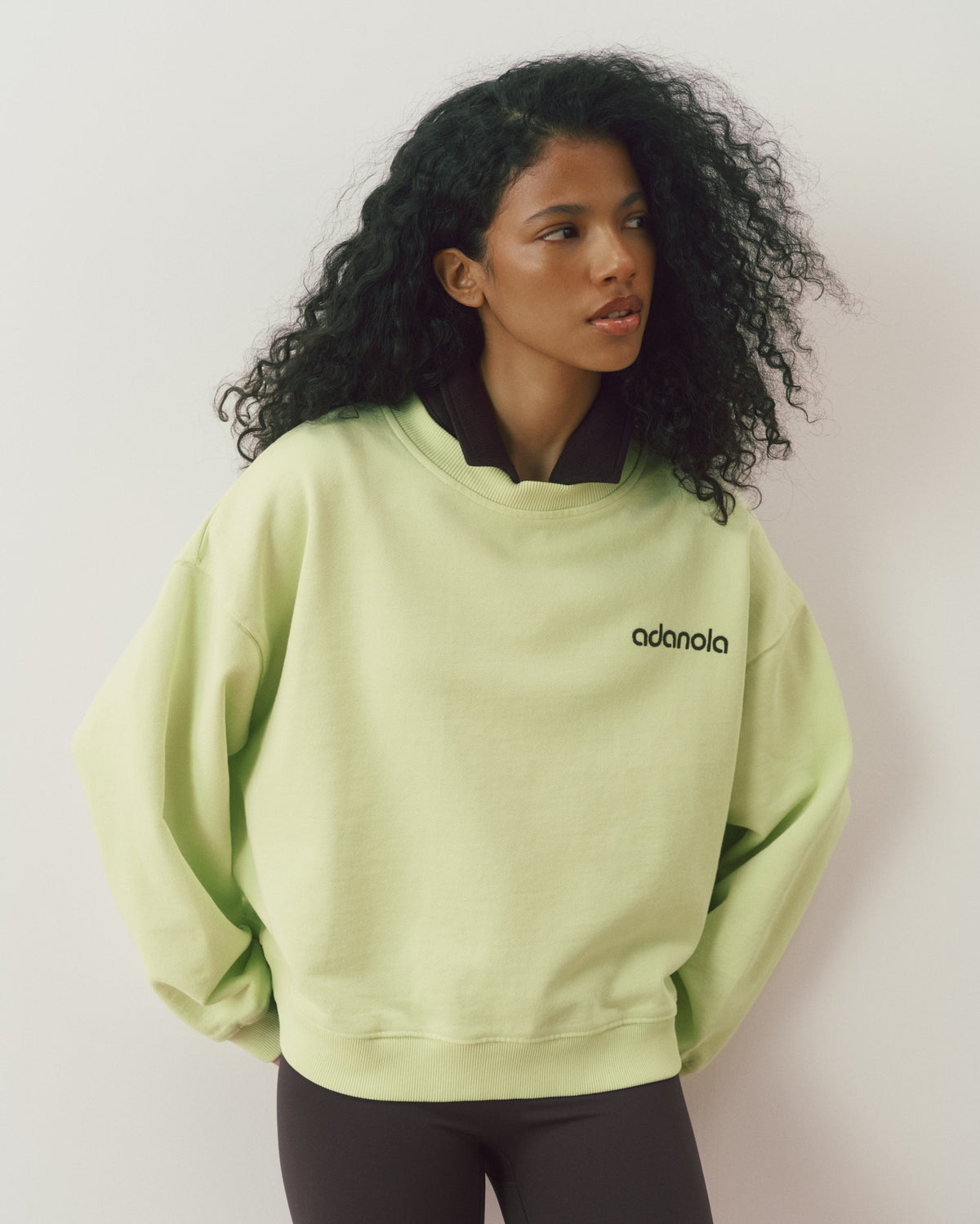 Loose Fit Sweatshirt - Washed Lime Green