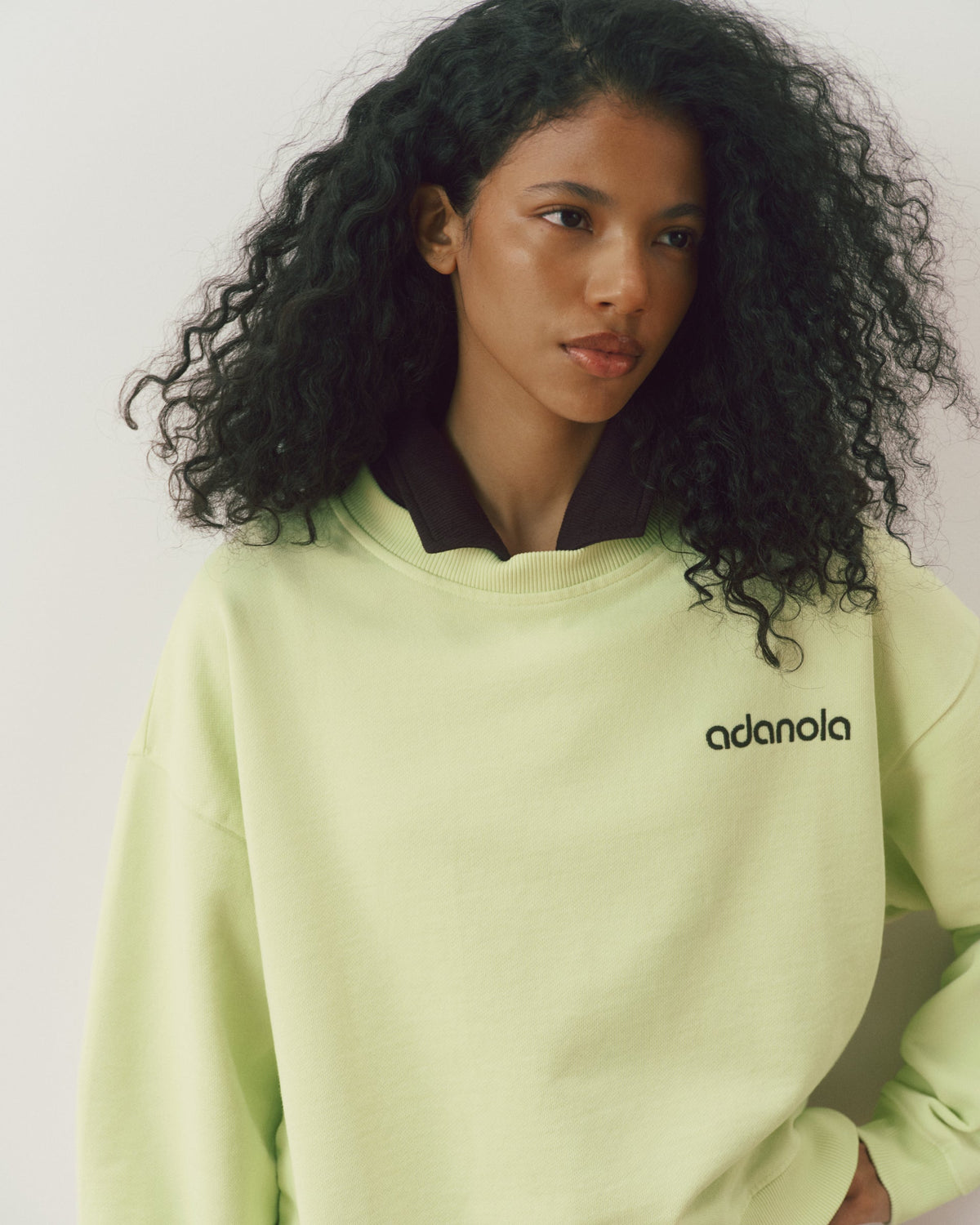 Loose Fit Sweatshirt - Washed Lime Green