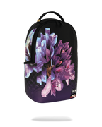 WYNWOOD WALLS COLLAB SOPHIE MESS FERNWEH BACKPACK