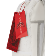 THE FUTURE PROXIMO DLXSV BACKPACK