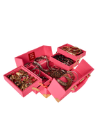 SORBET STUNNA 2 JEWELRY CASE