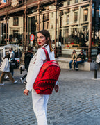 MONEY PATTERN BRICK BACKPACK (DLXV)