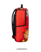 GARFIELD CAT SCRATCH (DLXR)