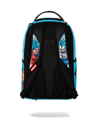 DRAGON BALL Z SUPER SAIYAN BLUE GOKU AND VEGETA