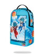 DRAGON BALL Z SUPER SAIYAN BLUE GOKU AND VEGETA