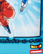 DRAGON BALL Z SUPER SAIYAN BLUE GOKU AND VEGETA