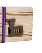 BILLIONS IN THE BANK BRIEFCASE