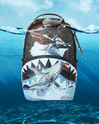 AVATAR TULKUN FLIGHT SHARK